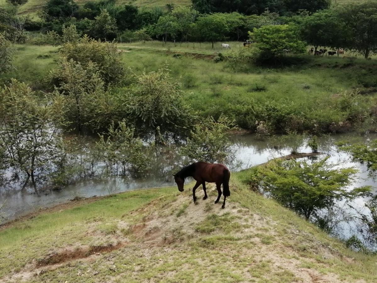 Finca Ecoturistica Los Jagueyes Baraya Zewnętrze zdjęcie