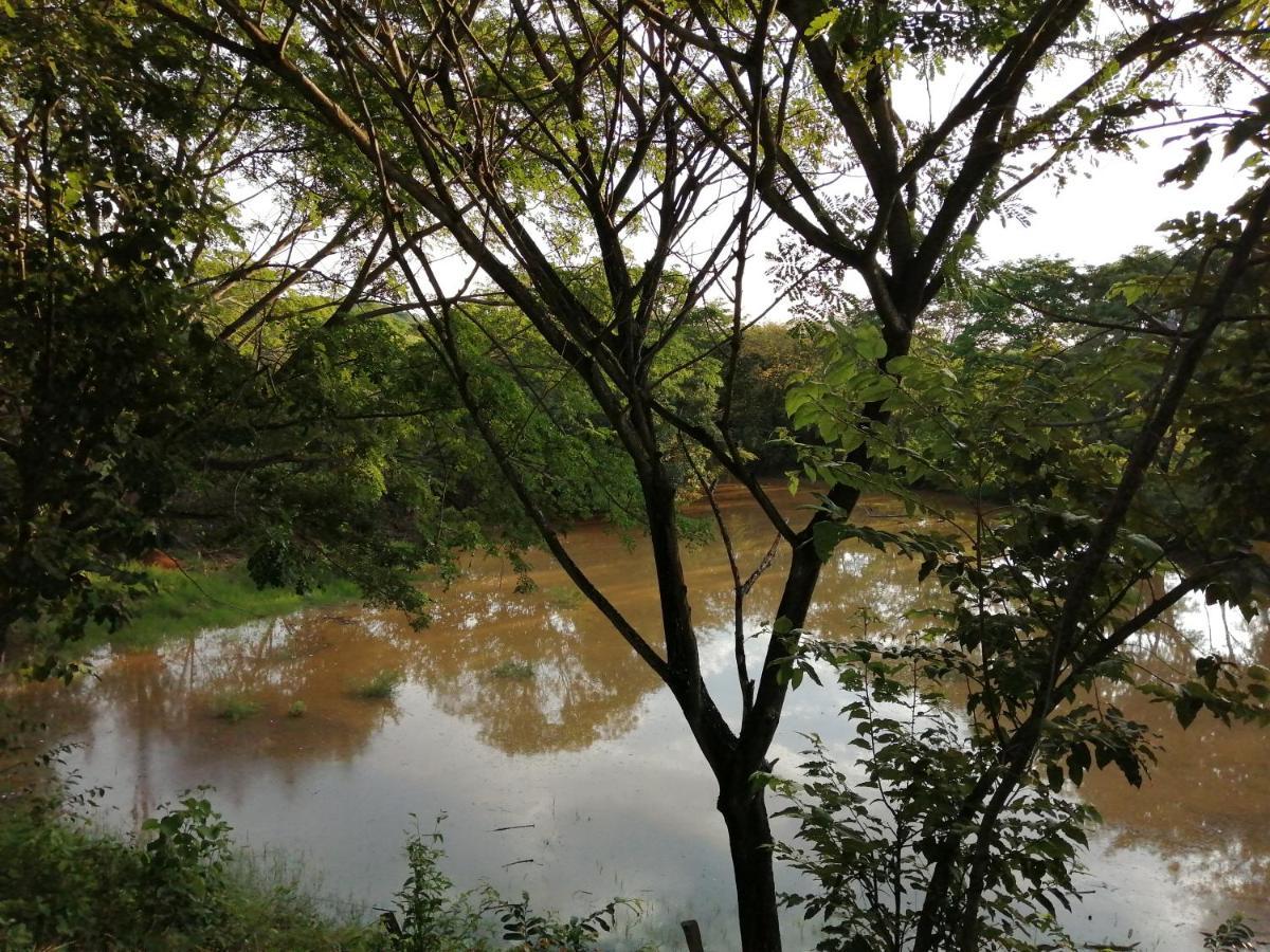 Finca Ecoturistica Los Jagueyes Baraya Zewnętrze zdjęcie