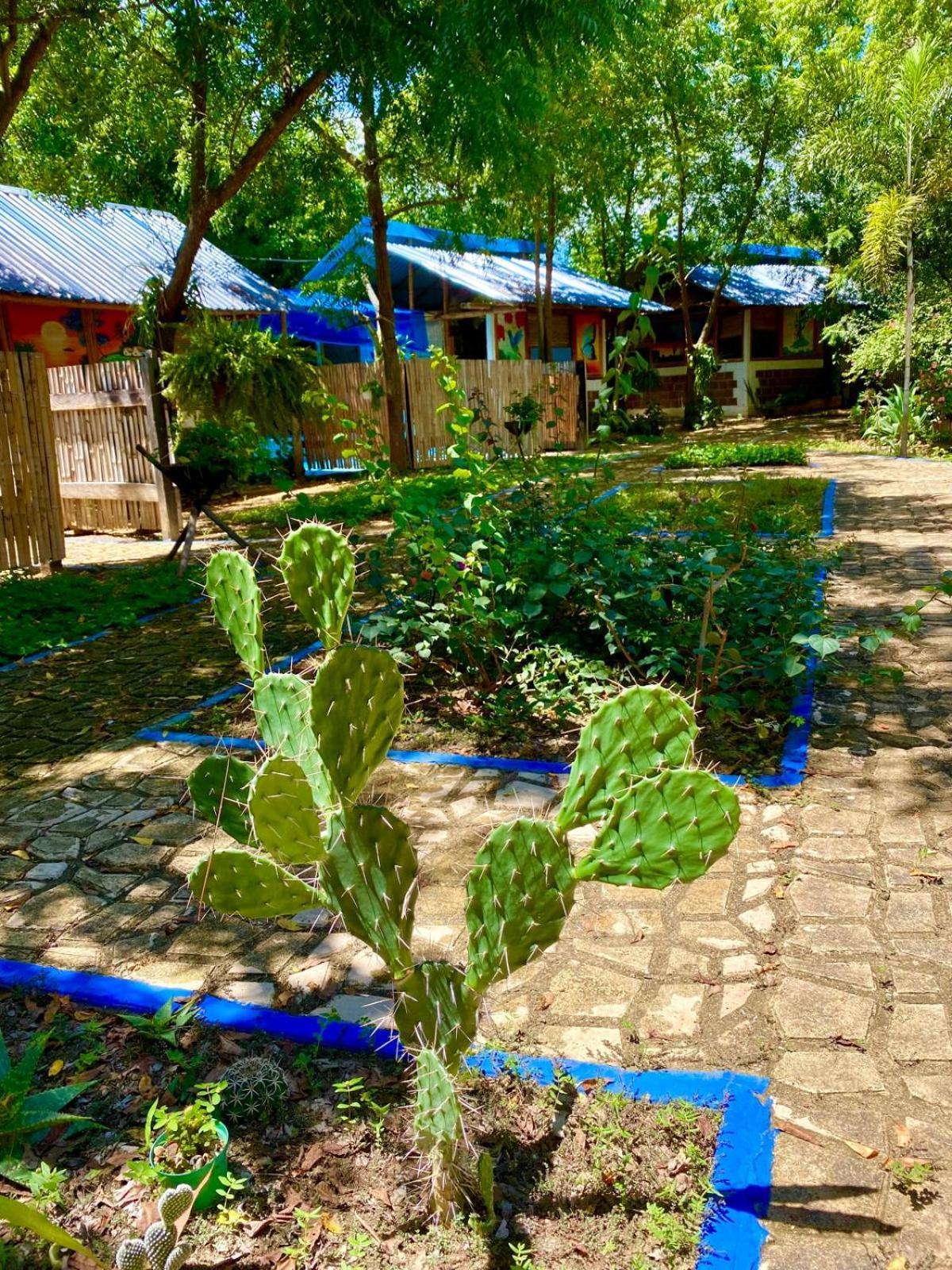 Finca Ecoturistica Los Jagueyes Baraya Zewnętrze zdjęcie