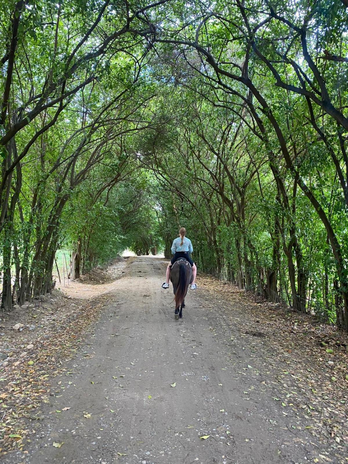 Finca Ecoturistica Los Jagueyes Baraya Zewnętrze zdjęcie